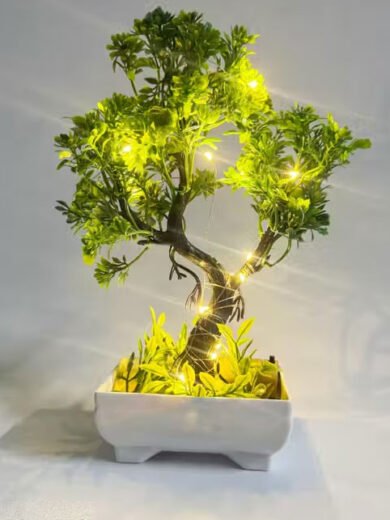 Bonsai Plant with Cork Light